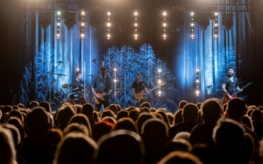 Energia sceny i tłumu – koncertowe kadry