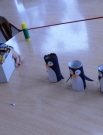 Pingwiny z Madagaskaru czy z Antarktydy?