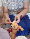 Psie spotkania w przedszkolu – mali weterynarze w akcji!